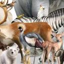 Kikki Belle - fotomural Biodiversità