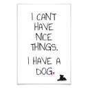 Poster - I can't have nice Things