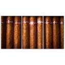 3 stykke lærredstryk, cubansk cigar