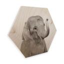 Hexagon Hout Sisi & Seb - Baby Elephant