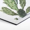 Hexagone - Alu-Dibond Saftleven - Cactus
