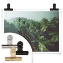 Plakat - Jungle Bridge