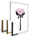 Plakat - Kubistika - Wild Roses