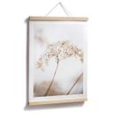 Póster 1X Studio - Rama con delicadas flores