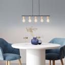 Pendelleuchte Karl, braun, 113 x 80 cm, Holz Pendel-lampe, dimmbar
