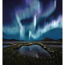 Fototapete Northern Light 240x260 cm