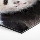Hexagone - alu-Dibond Sisi & Seb - Baby Panda
