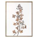 Poster Disher - Hortensia