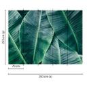 Non-woven tapet BananaLeaves palmetræer jungleDesignwalls i grønt
