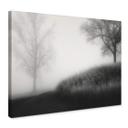 Lienzo Huybrighs - Niebla por la mañana