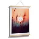 Plakat Græsser i lyset af den glødende sol - Treechild