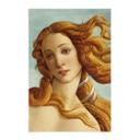 Tekstil plakat Portræt af Venus - inspireret af Botticelli