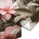 Fototapet - Rundt Annie - Rose Blossom - vliesetapet/selvklæbende non-woven tapet