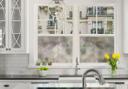 Schmucker privacy film - amapola y desnudo
