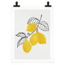 Póster Blursbyai - Ilustración de una rama de limón