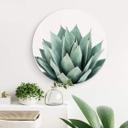 Wandcirkel Sisi & Seb - Succulents