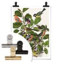 Plakat - Frida Floral Studio - Twiggy Eye
