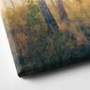 Lienzo Sol en un bosque de abedules - Kado