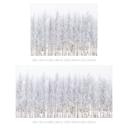 Papel pintado Bosque de abedules en invierno - EMELIEmaria