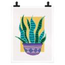 Póster Demir - Boho-Botany