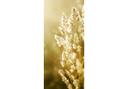 Türdesign Sonniges Kornfeld 91x200 cm