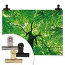 Poster - Under the Trees