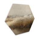 Hexagone - Bois Talen - Matin hivernal