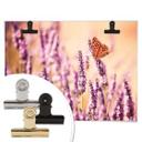 Póster Colombo - La mariposa en la lavanda