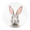 Plakat Sisi & Seb - Bunny