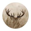 Plakat Deer