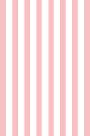 Personligt Canvasbillede med striber i pink