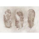 Architects Paper Papier peint photo Atelier 47 Motley Feat avec plumes marron, beige
