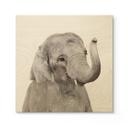 Houten Poster Sisi & eb - Baby Olifant
