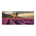 Salpicadero de cocina autoadhesivo Flor de lavanda en Provenza