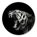 Tableau en verre Meermann - Le tigre - Rond