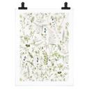 Plakat Urter og vilde blomster - UN Designs