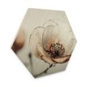 Sekskantet Billede af træ tør blomster beige natur poesi - Treechild