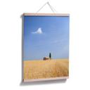 Plakat - Colombo i Toscana