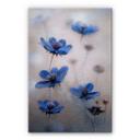 Alu-Dibond Disher - Blue Cosmos