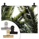 Póster de la palmera datilera