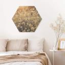 Hexagon Hout Mexican Daisy