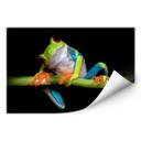 Zelfklevende Poster Valverde - Green Frog