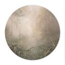 Poster Mystiek Regenwoud in de Mist - Ms Tiff - Rond