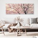 Billede Primavera - Coleman - aluminium dibond panorama – print på aluminium (Alu-Dibond)