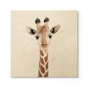 Houten Poster Sisi & Seb - Baby Giraf