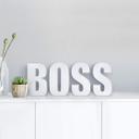 Lettre décorative - 3D BOSS