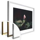 Poster Bouton de rose