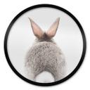 Plakat Sisi & Seb - Bunny