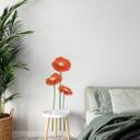Bundt Gerbera Orange