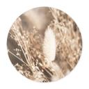 Plakat Annie - Wild Grass